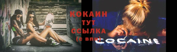 прущие грибы Абаза