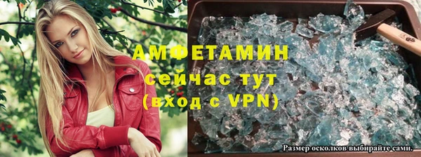 прущие грибы Абаза