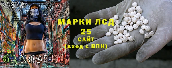 прущие грибы Абаза