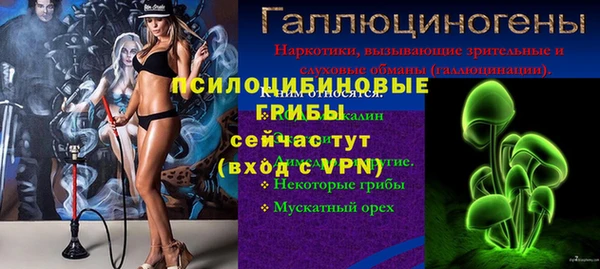 прущие грибы Абаза
