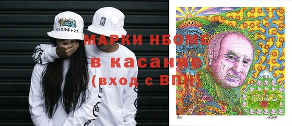 прущие грибы Абаза