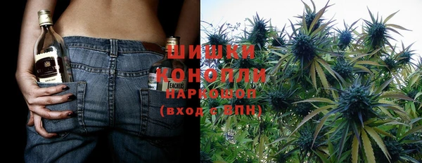 прущие грибы Абаза