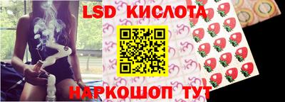 ешки Моздок