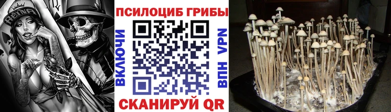 Галлюциногенные грибы MAGIC MUSHROOMS  Сочи 