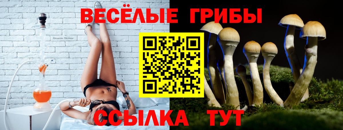 Галлюциногенные грибы прущие грибы  Вход с VPN  Сочи 
