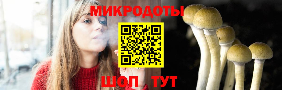 Псилоцибиновые грибы Magic Shrooms Сочи