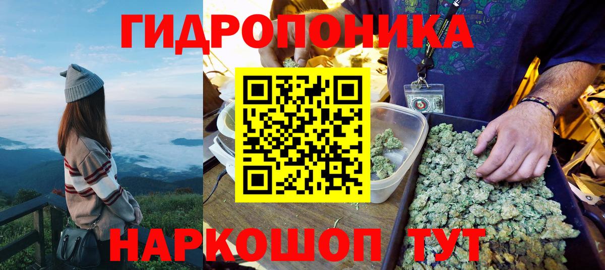 Сочи  Бошки Шишки семена  Бошки Шишки гибрид  Марихуана сатива  Вход с VPN 